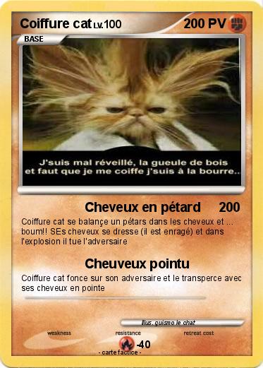 Pokemon Coiffure cat