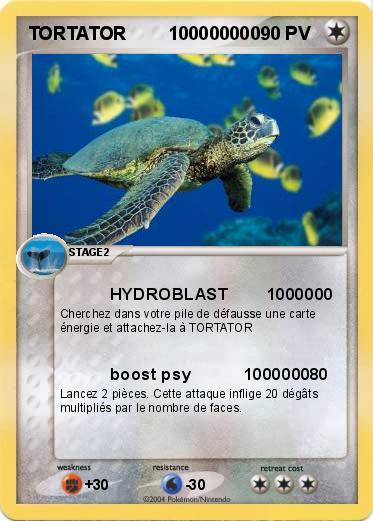 Pokemon TORTATOR        100000000