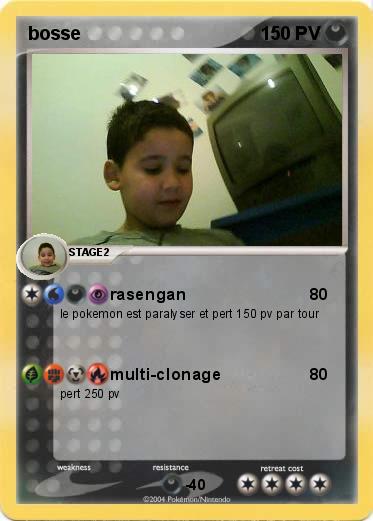 Pokemon bosse