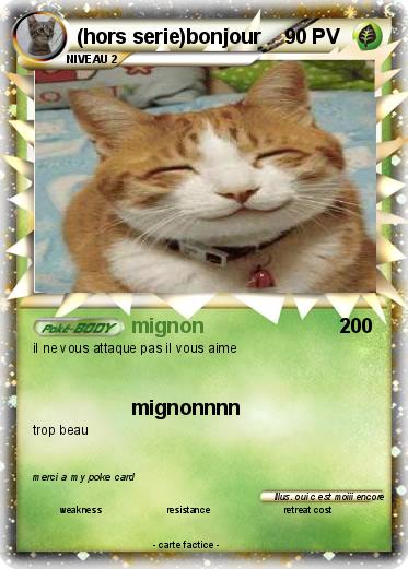 Pokemon (hors serie)bonjour