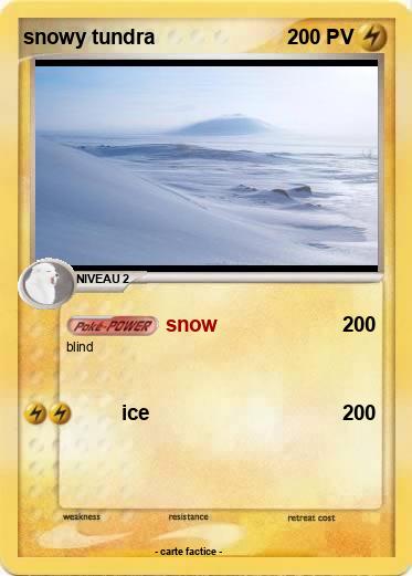 Pokemon snowy tundra