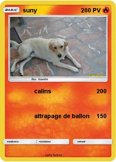 Pokemon suny