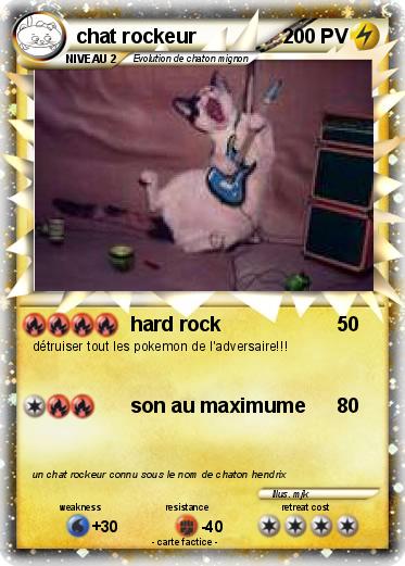 Pokemon chat rockeur