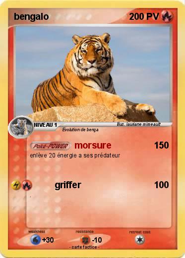 Pokemon bengalo