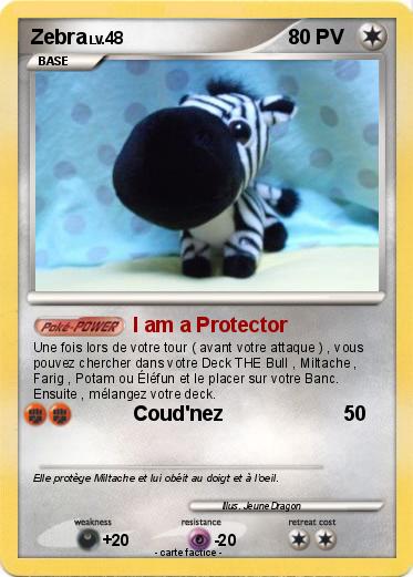 Pokemon Zebra