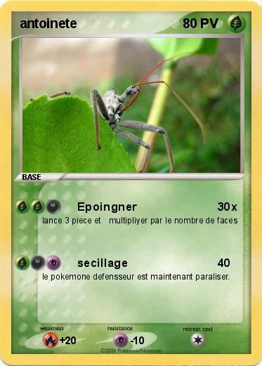 Pokemon antoinete