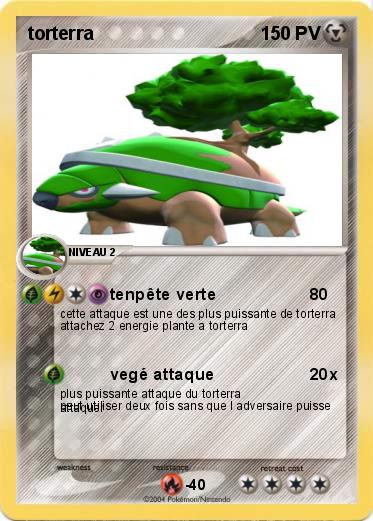 Pokemon torterra