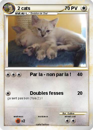 Pokemon 2 cats