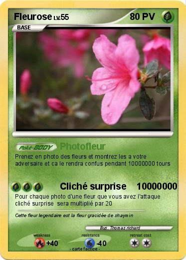 Pokemon Fleurose