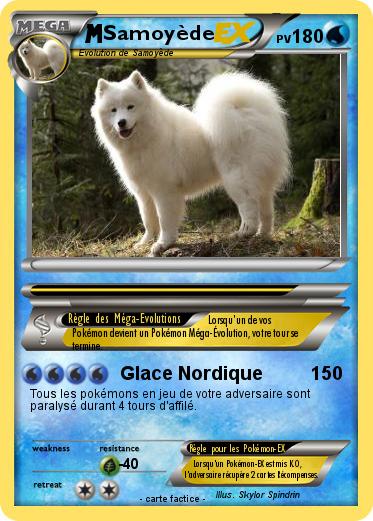 Pokemon Samoyède