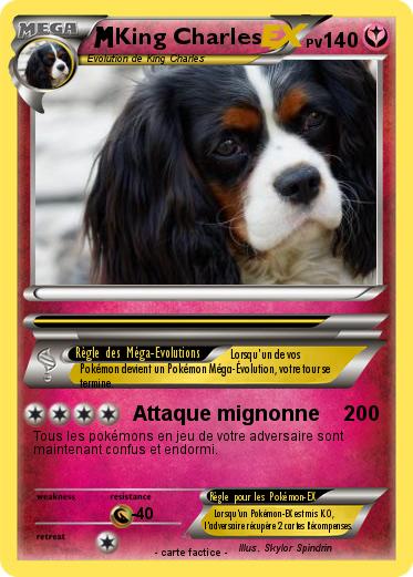 Pokemon King Charles