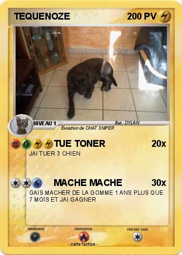 Pokemon TEQUENOZE