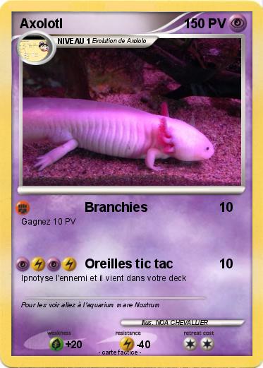 Pokemon Axolotl