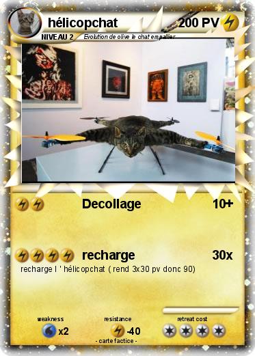 Pokemon hélicopchat
