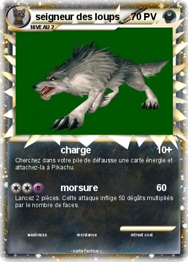 Pokemon seigneur des loups