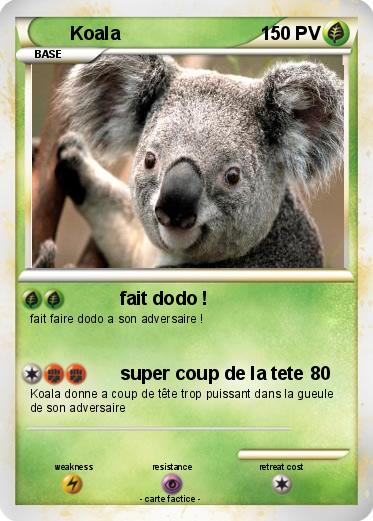 Pokemon Koala