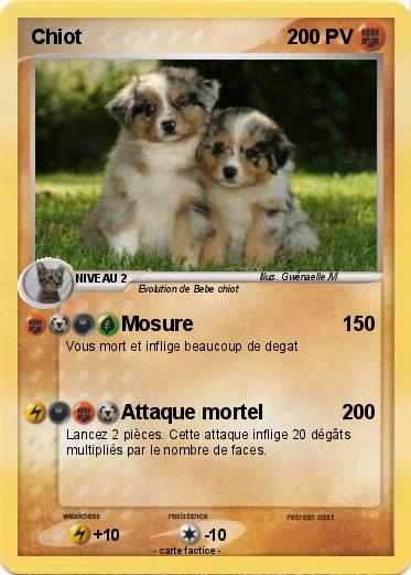Pokemon Chiot