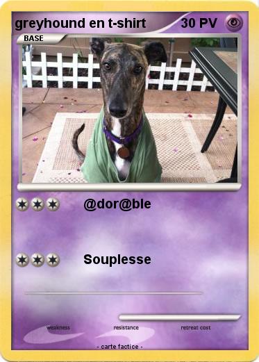 Pokemon greyhound en t-shirt