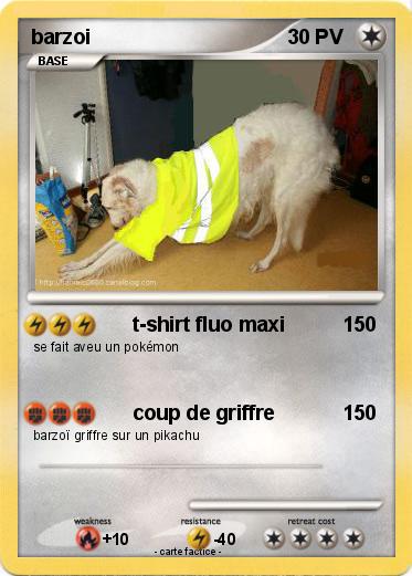 Pokemon barzoi