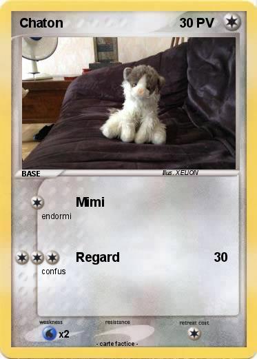 Pokemon Chaton