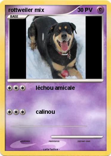 Pokemon rottweiler mix