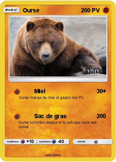 Pokemon Ourse