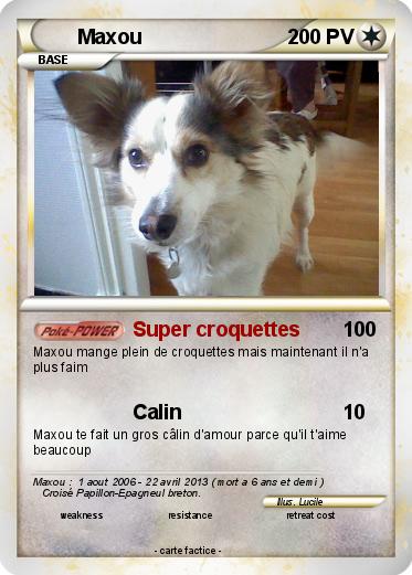 Pokemon Maxou