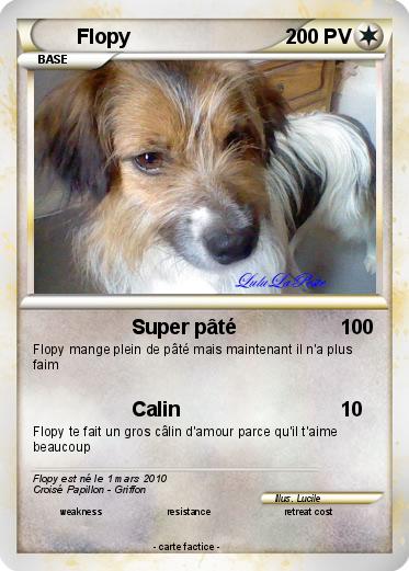Pokemon Flopy