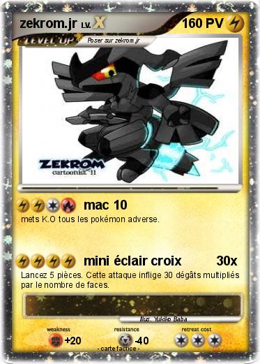 Pokemon zekrom.jr