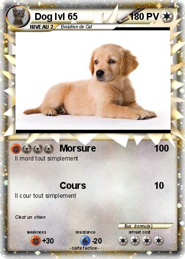 Pokemon Dog lvl 65