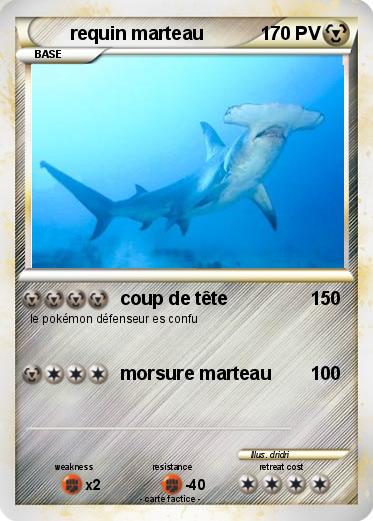 Pokemon requin marteau