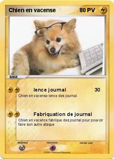 Pokemon Chien en vacense