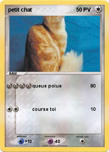 Pokemon petit chat