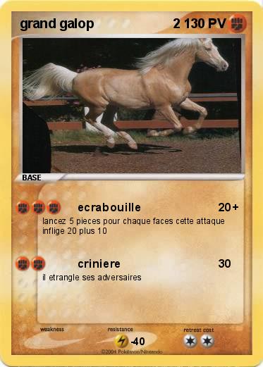 Pokemon grand galop                      2