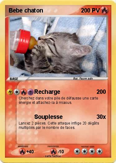 Pokemon Bebe chaton