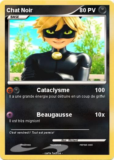 Pokemon Chat Noir