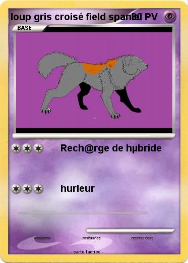 Pokemon loup gris croisé field spaniel