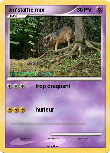 Pokemon am'staffie mix