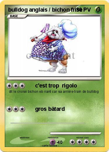 Pokemon bulldog anglais / bichon frise