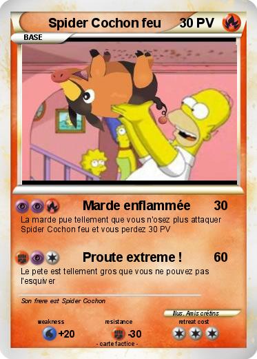 Pokemon Spider Cochon feu