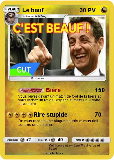 Pokemon Le bauf