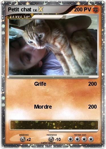Pokemon Petit chat