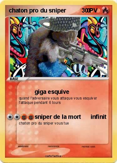 Pokemon chaton pro du sniper             0