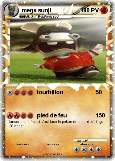 Pokemon mega sunji