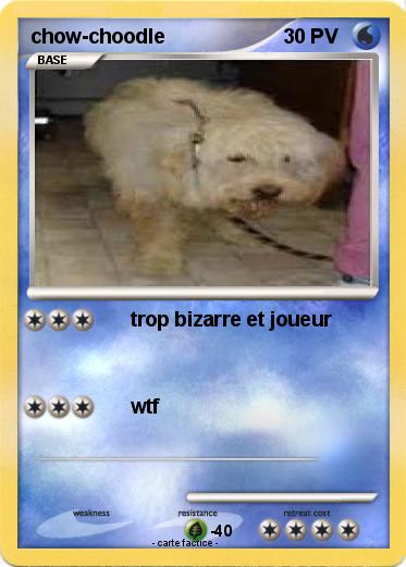 Pokemon chow-choodle