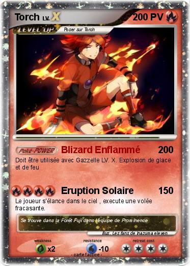 Pokemon Torch