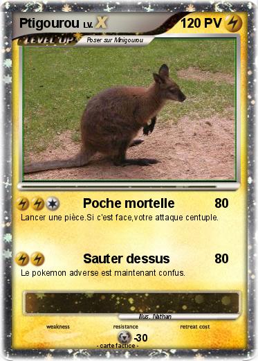 Pokemon Ptigourou