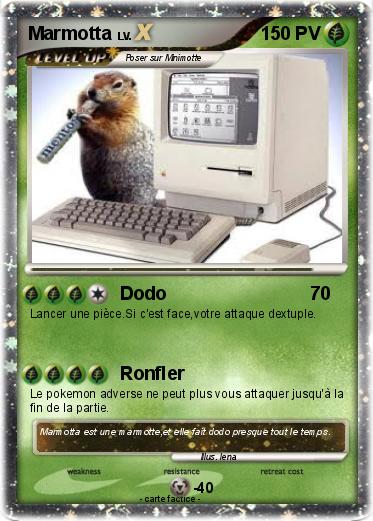 Pokemon Marmotta