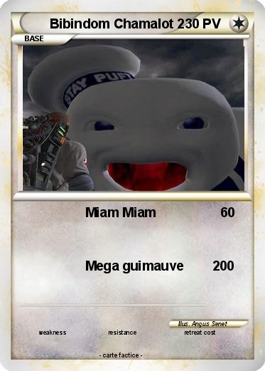 Pokemon Bibindom Chamalot 2