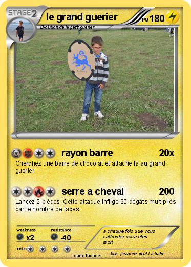 Pokemon le grand guerier